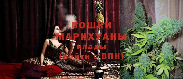 PSILOCYBIN Аркадак