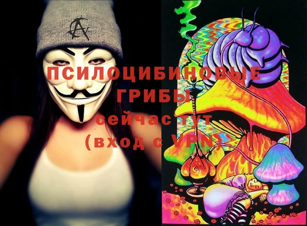 PSILOCYBIN Аркадак